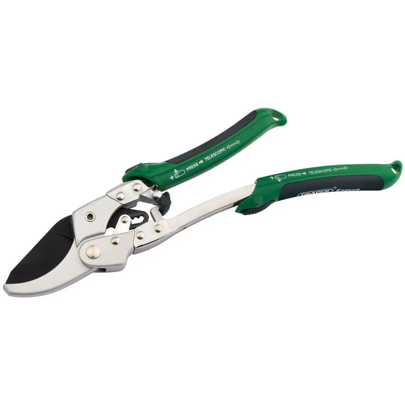 Draper Tools 2 in 1 Anvil Pattern Ratchet Pruner and Mini Lopper